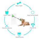 Pet Dog Molar Bite Chew Toy Dog Rope Pull Interactive Toy with Suction Cup for Pulling Chewing Teeth Cleaning