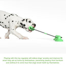 Pet Dog Molar Bite Chew Toy Dog Rope Pull Interactive Toy with Suction Cup for Pulling Chewing Teeth Cleaning