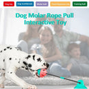 Pet Dog Molar Bite Chew Toy Dog Rope Pull Food Dispenser Interactive Toy with Suction Cup Bell for Pulling Chewing Teeth Cleaning