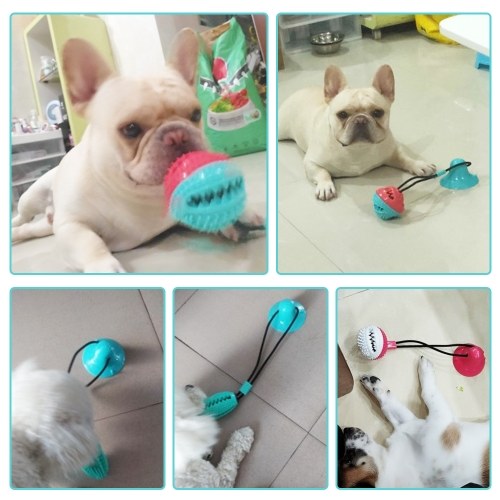 Pet Dog Molar Bite Chew Toy Dog Rope Pull Food Dispenser Interactive Toy with Suction Cup Bell for Pulling Chewing Teeth Cleaning