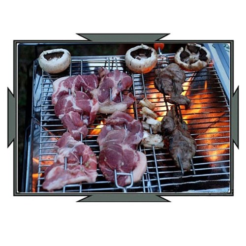 Charcoal Grill Foldable BBQ Grill Portable Stainless Steel