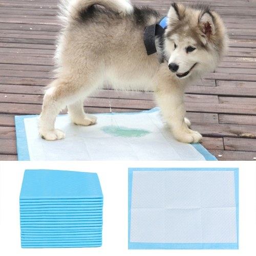 Dog Pet Training Pee Pads Super Absorbent Disposable Healthy Puppy Pads for Dog Cats 20PCS