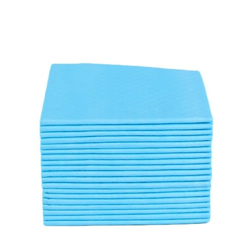 Dog Pet Training Pee Pads Super Absorbent Disposable Healthy Puppy Pads for Dog Cats 20PCS