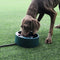 Heated Pet Dog Cat Bowl Heating Feeding Feeder Waterproof 0.58gal/2.2L/74oz