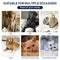 Pet Dog Cat Heating Pad Waterproof Warmer Mat Bed for Dogs Cats Indoor Warming Mat 60*45cm