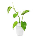 Soft Silicone Vase Leaves Bottle Wall Sticker High Adhesion Small Tool Storage Home Decoration