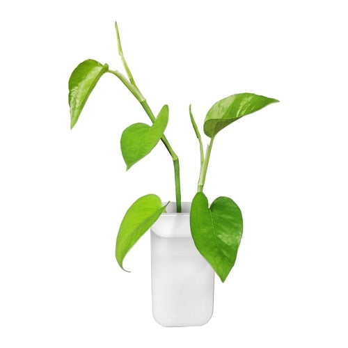 Soft Silicone Vase Leaves Bottle Wall Sticker High Adhesion Small Tool Storage Home Decoration