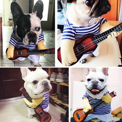 Pet Guitar Costume Dog Guitarist Player Pet Halloween Costume Pet Dog Cosplay Clothes Decoration Halloween Dress Up Accessories for Dogs Puppy