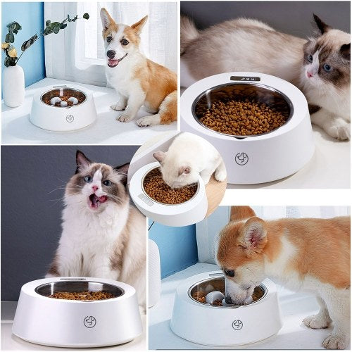 Dog Pet Digital Scale Feeder Slow Feed Bowl Accurate Weighing Stainless Steel Dog Bowls