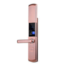 Smart Electronic Door Lock Sensor Key Free Fingerprint Entry Security Biometric Fingerprint Identification Door Lock Mechanical Key Digital Lock OLED Display Voice Guidance Sliding Case APP Control Five Entries for Home Hotel Apartment Left Hand Inswing D