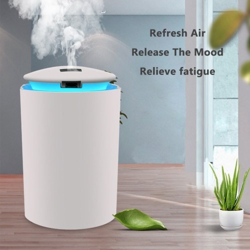 260mL Mist Humidifier Diffuser with LED Light Quiet Humidifier