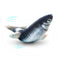 Realistic Plush Simulation Electric Doll Fish Funny Interactive Pets Chew Bite Supplies for Cat Fish Flop Cat Toy for Biting and Kicking