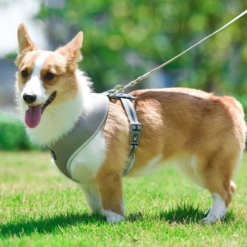 Dog Harness No-Pull Pet Harness Step-in Air Dog Harness, All Weather Mesh, Step in Vest Harness Adjustable Outdoor Pet Vest, Reflective Harness for Small Medium Large Dogs, (Grey,XS)