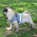 Dog Harness No-Pull Pet Harness Step-in Air Dog Harness, Soft Mesh Cat Harness, Step in Vest Harness Adjustable Outdoor Pet Vest, Reflective Harness for Pet Kitten Puppy Rabbit, (Silver gray,XL)