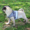 Dog Harness No-Pull Pet Harness Step-in Air Dog Harness, Soft Mesh Cat Harness, Step in Vest Harness Adjustable Outdoor Pet Vest, Reflective Harness for Pet Kitten Puppy Rabbit, (Silver gray,XL)