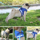 Dog Harness No-Pull Pet Harness Step-in Air Dog Harness, Soft Mesh Cat Harness, Step in Vest Harness Adjustable Outdoor Pet Vest, Reflective Harness for Pet Kitten Puppy Rabbit, (Silver gray,XL)