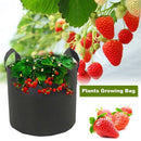 Potato Grow Bag, Garden Planting Bags, Vegetables Planter Bags,