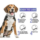 Dog Cat Collar Anti Flea Ticks