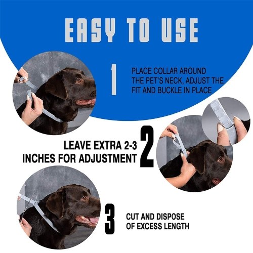 Dog Cat Collar Anti Flea Ticks