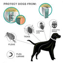 Dog Cat Collar Anti Flea Ticks