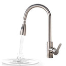 Basin Sink Faucets Pull Down Sprayer