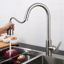 Basin Sink Faucets Pull Down Sprayer