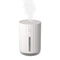 320mL Car Mist Humidifier Diffuser