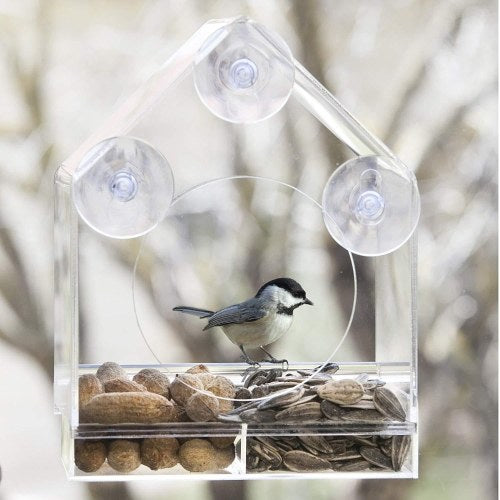 Bird Feeder House Window Bird Feed Box Parrot Food Feeder Outdoor Birdfeeders Acrylic Bird Feeding Device with 4 Suction Cups