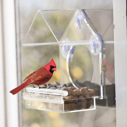 Bird Feeder House Window Bird Feed Box Parrot Food Feeder Outdoor Birdfeeders Acrylic Bird Feeding Device with 4 Suction Cups