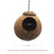 Coconut Bird Hut with Opening Coco Shell Bird House for Small to Medium Birds Nesting House for Cage Patio with Hanging Loop