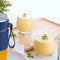 300ml  Mini Portable Electric Fruit Juicer Automatic Blender Baby Food Milkshake Mixer Juicing Cup