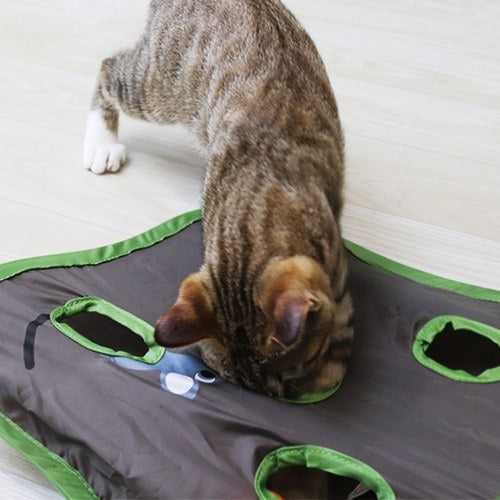 Hide and Seek Mouse Cat Toy 9 Holes Interactive Pet Cat Teaser Trainning