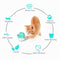 Cat Ball Toy Cat Interactive Toys USB Charging Pet Toy Rolling Kitty Toys