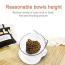 Double Cat Bowl Pet Food Water Bowl