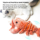 Electric Moving Cat Kicker Shrimp Toy