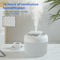 A9 Smart Essential Oil Diffuser 2400ml Cool Mist Humidifier