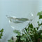 Plant Waterer Bird Self Watering Bulb