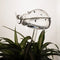 Plant Waterer Beetle Self Watering Bulb