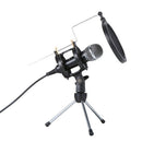 Professional Condenser Microphone