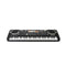 61 Keys Electronic Organ USB Digital Keyboard Piano Musical Instrument Kids Toy with Microphone