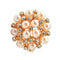 Fashion Zinc Metallic Rhinestone Crystal Scarf Shawl Buckle Brooch Pin Clip Ring for Women Gift