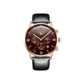 LIGE 9831 Men Watch