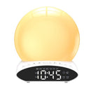 Multifunctional 4 in 1 FM Radio Wake-Up Light Alarm Clock T-ime Projector Desk Lamp