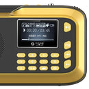 New H1 Card Radio Portable Mini Radio - Gold