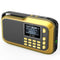 New H1 Card Radio Portable Mini Radio - Gold