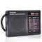 New Tecsun R202T Portable Small Radio - Black