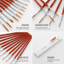 11pcs Draw Paint Brushes Kit Set