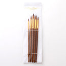 5pcs Paint Brushes Set Kit