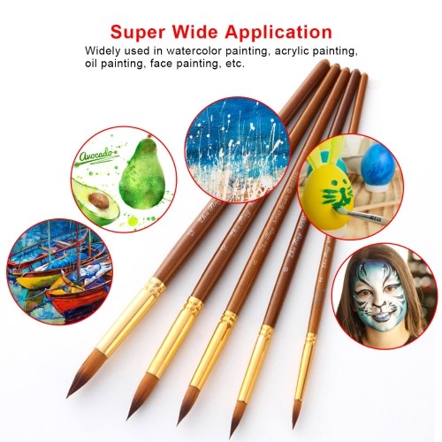 5pcs Paint Brushes Set Kit