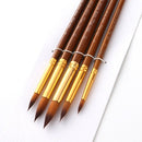 5pcs Paint Brushes Set Kit